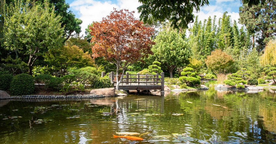 Earl Burns Miller Japanese Garden, United States